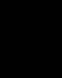 エレクトロニックフラッシュ