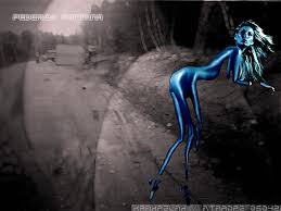 Image <b>Federica Fontana</b> 5724 Wallpaper Picture