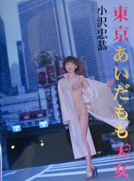 商品副データあいだもも写真集
