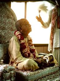 http://images.google.com/images?q=tbn:jTz6IE39Vv1vHM:www.newtalavana.org/images/Prabhupada3a.jpg