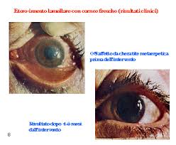 http://www.siaecm.eu/medici_famosi/giani/imgbh09/clip_image009.gif