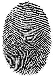 fingerprint - via Daymix