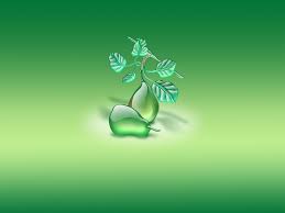 Image Miscellaneous · Aqua Pears Picture
