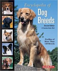 Some examples of this dog breed are