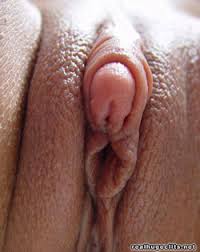 clit pussy