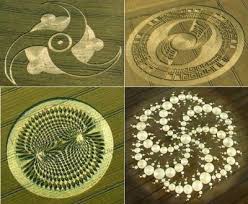 Crop Circles - via Daymix