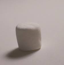 read Marshmallow Study. - via Daymix