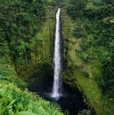 Vacation Packages Wedding - via Daymix