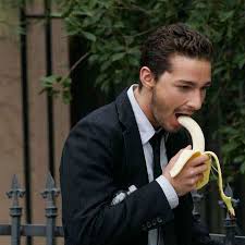 Shia LaBeouf's Acting Career - via Daymix