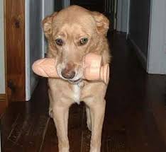 The Case Of The Dropped Dildo