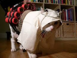 Muslim Pussy