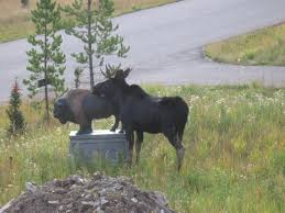 Is this statutory rape? - via Daymix