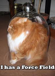 Re: Lol Animal