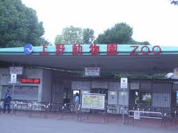 上野動物園の画像1