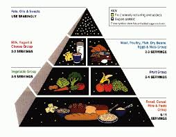   Food   Pyramid