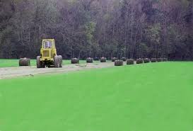 rolled sod + loader.jpg (24479