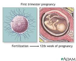  Abortion  -  Elective  Or