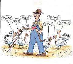 Thanksgiving Humor