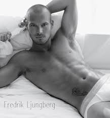 Image Fredrik Ljungberg Picture