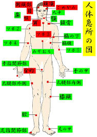 人体急所の図