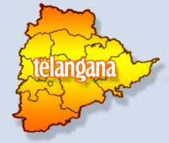 Telangana icon