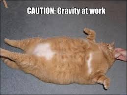   gravity   at work Thanks Daryl x26gt 
