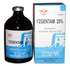 gentamicin