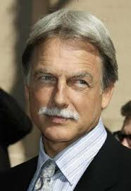 Mark Harmon