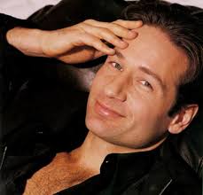 Image <b>...</b> of <b>David Duchovny</b> in <b>...</b> Picture