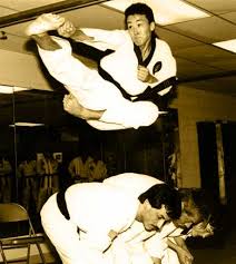Tae Kwon Do O'Fallon IL - via Daymix