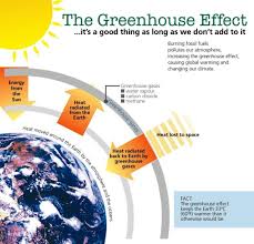   Carbon dioxide   is part of nature x26s    
