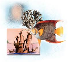 collage of various  art   works