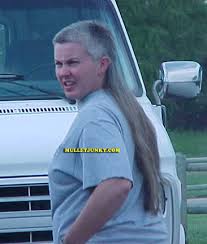 Cool Mullet Pictures Cool Mullet