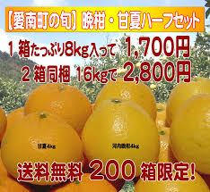楽天市場】みかん：愛媛みかんの こだわり王国