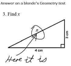 Not another  blonde   joke 