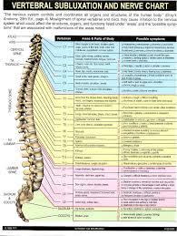 What is Chiropractic Care ?