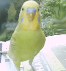      here x26s a short video at  U Tube      