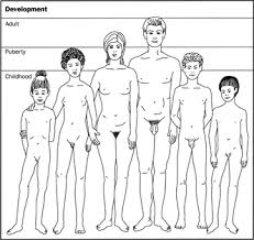 of precocious puberty,