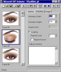 Microsoft Gif Animator utility