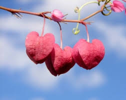 Latin Dating - via Daymix