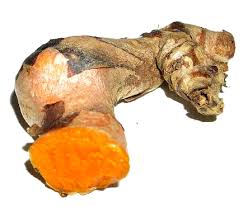 http://chinesemedicinenews.com/wp-content/uploads/2007/08/curcuma1.jpg