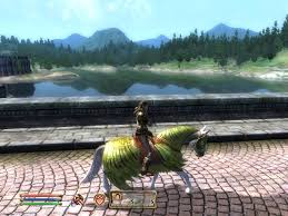   Elder   Scrolls  4   Oblivion  Cheats   