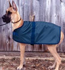 WeatherBeeta Kennel Dog Blanket