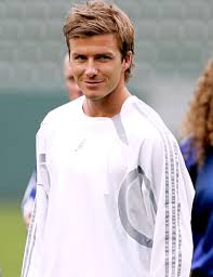 David Beckham Image <b>david< b> <b>beckham< b>1.jpg Picture 2