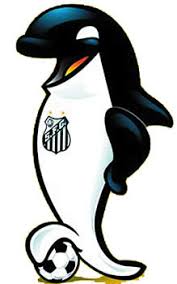      o  Santos Futebol Clube  