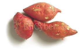 1159098839.jpg
