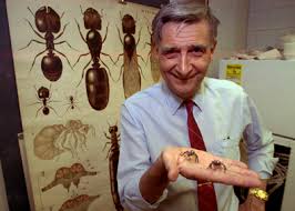 Edward O. Wilson