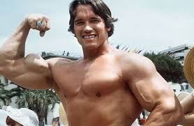 Arnold Schwarzenegger - via Daymix