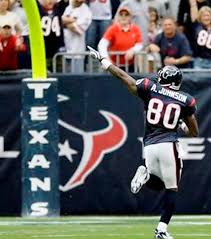 Andre Johnson points to Texans fans 