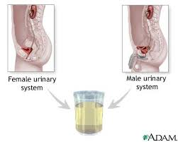 Urine melanin is a test to - via Daymix